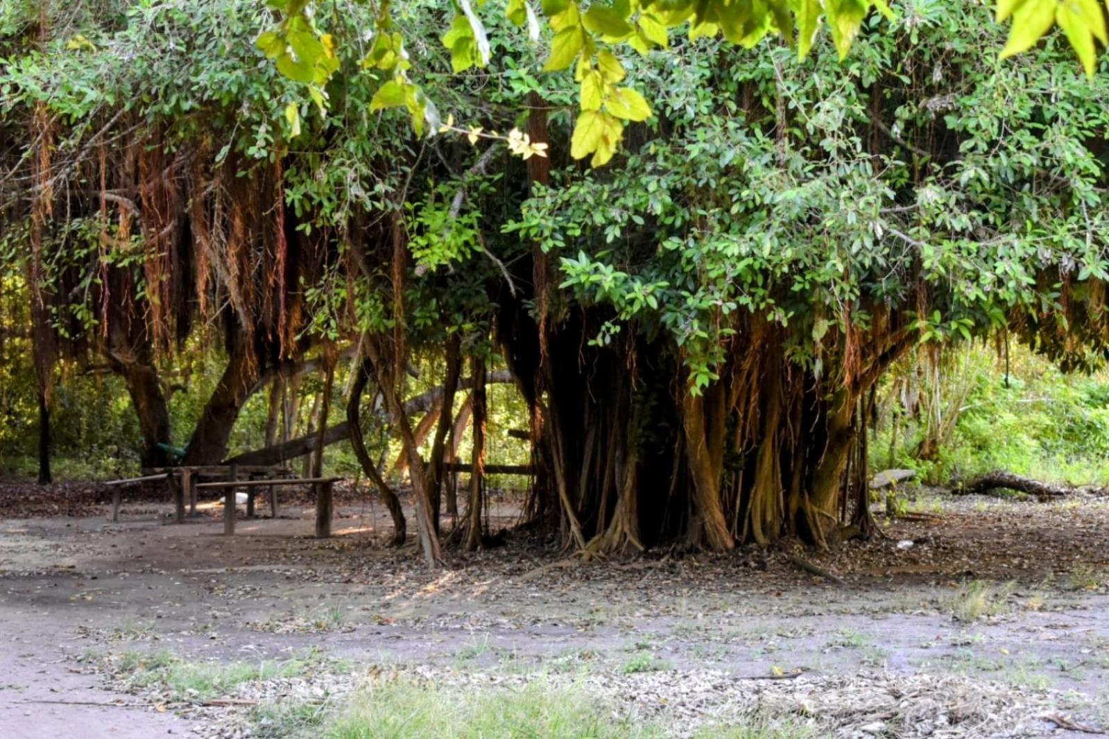 Isla Grande Aventureros * Cartagena